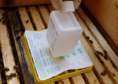 Liebig-Dispenser in einer offenen Bienenbeute auf einem Träger und einem Verdunstungsdort