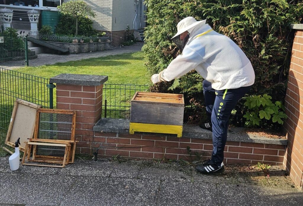 Vorbereitung zum Schwarmfang